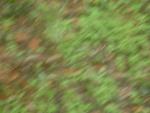 20040905-120214