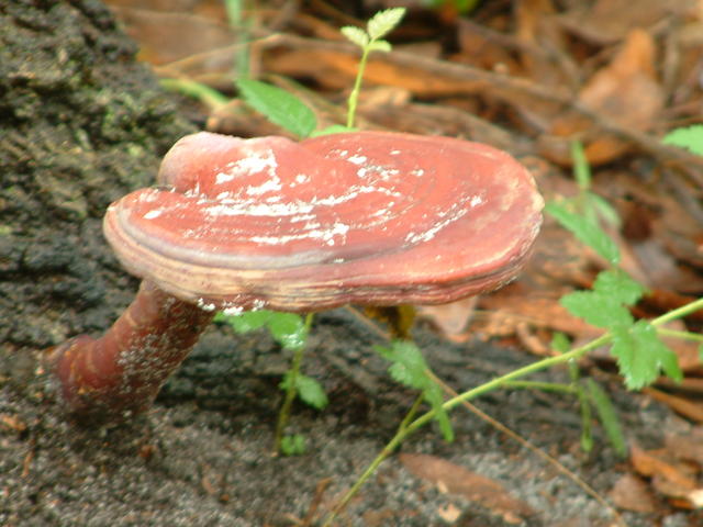 20030906-134103