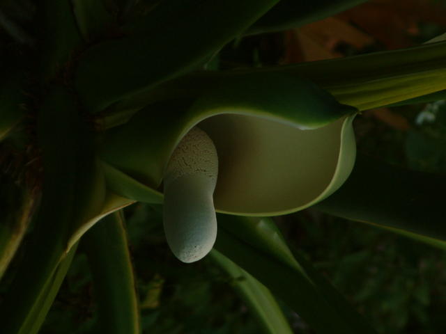 20040425-194033