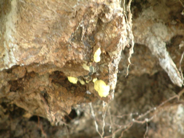 20041023_105756