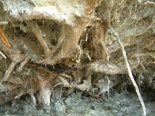 20041023_105814
