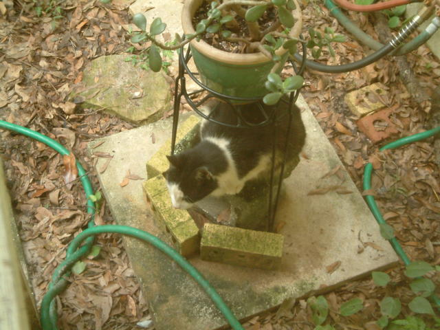 20041024_105929