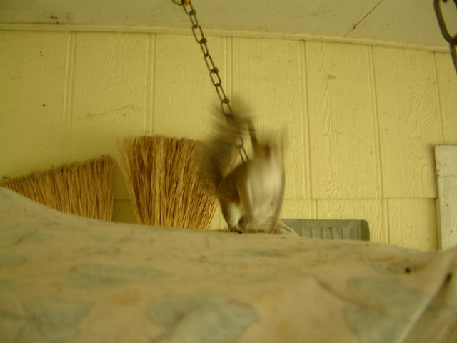 20041024_110220