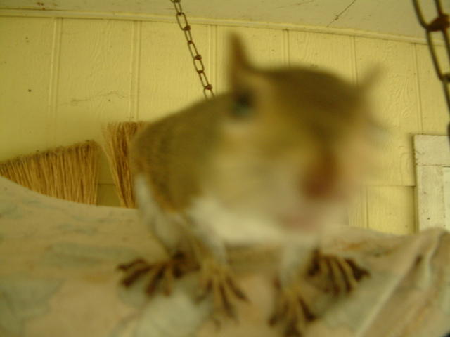 20041024_110221