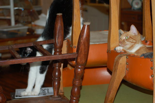 DSC_0005.JPG