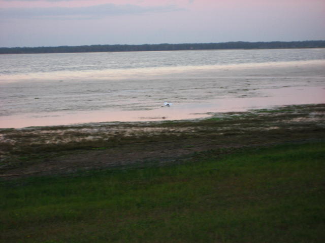 IMG_3873.JPG