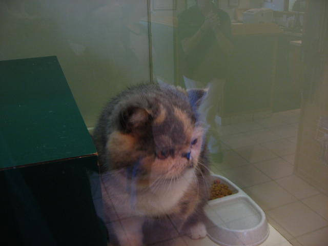 IMG_3710.JPG