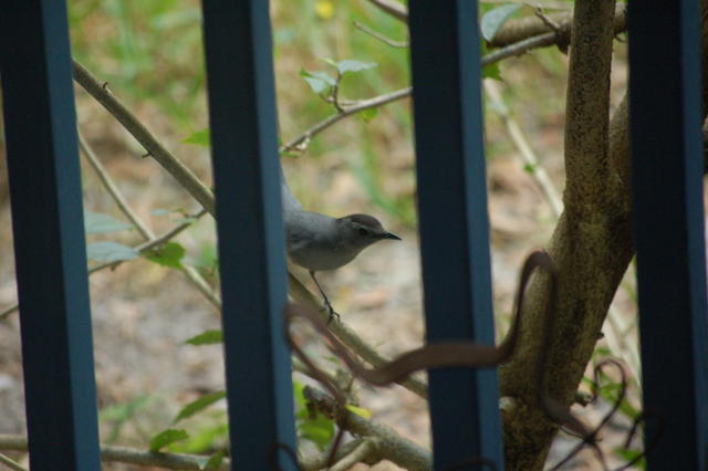 DSC_0354.JPG