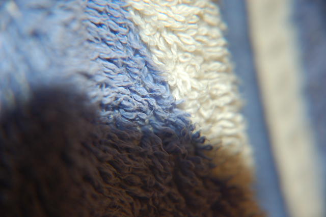 DSC_0357.JPG