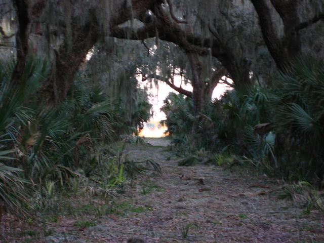 IMG_0018.JPG