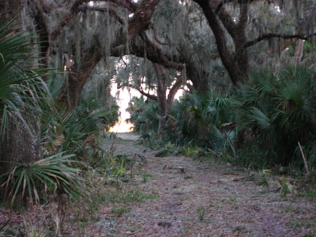 IMG_0016.JPG