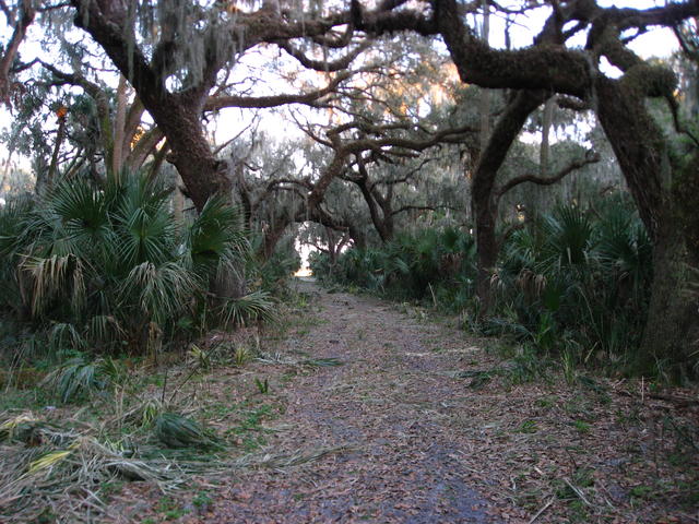 IMG_0015.JPG