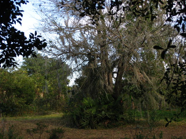 IMG_4150.JPG