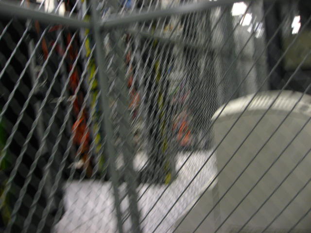 IMG_4600.JPG