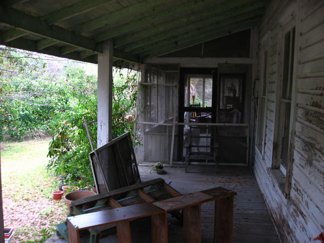 IMG_2982.JPG