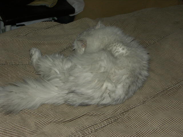 PICT0062