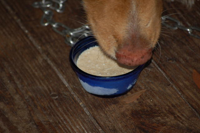 DSC_0004.JPG