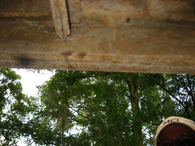 IMG_1360.JPG