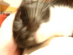 20030814-223919