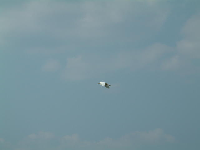 20030531-155958