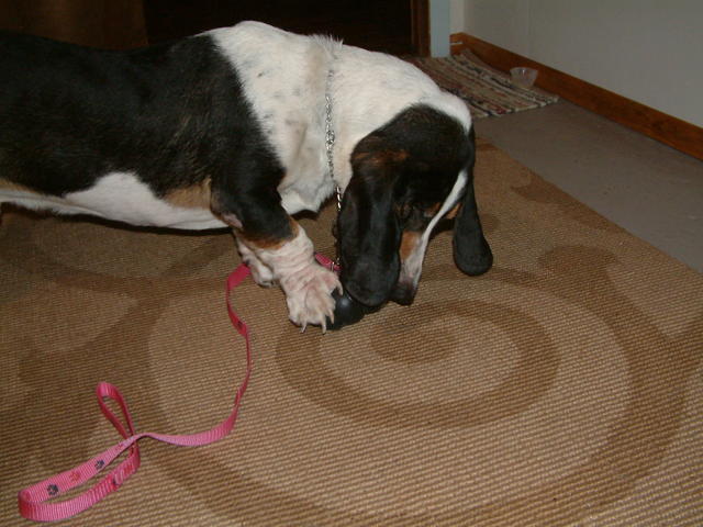 20040909-213432