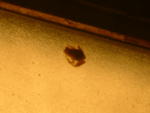 20030902-215749