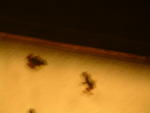 20030902-220641