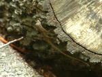 20030906-134304