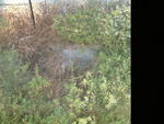 dscf0098.jpg