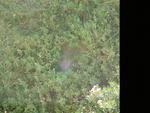 dscf0099.jpg