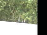 dscf0100.jpg