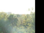 dscf0101.jpg