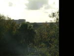 dscf0102.jpg