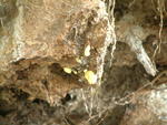 20041023_105759