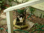 20041024_105850