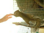 20041024_110303
