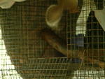 20041024_110323