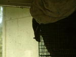 20041024_110425