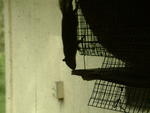 20041024_110426