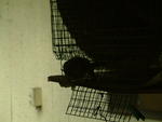 20041024_110435
