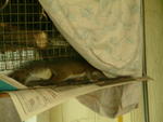 20041024_110445
