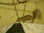 20041024_110513