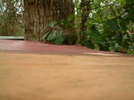 20041211_133029