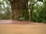 20041211_133042