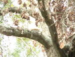 20041211_133725