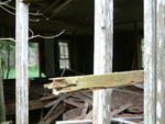 DSCF0075