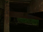 DSCF0081