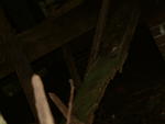 DSCF0082