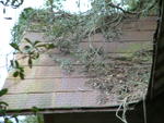 DSCF0087