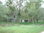 DSCF0091
